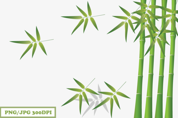 Download Bamboo - Bamboo Collection